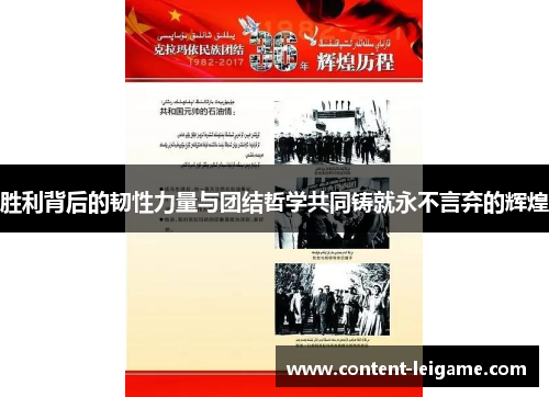 胜利背后的韧性力量与团结哲学共同铸就永不言弃的辉煌
